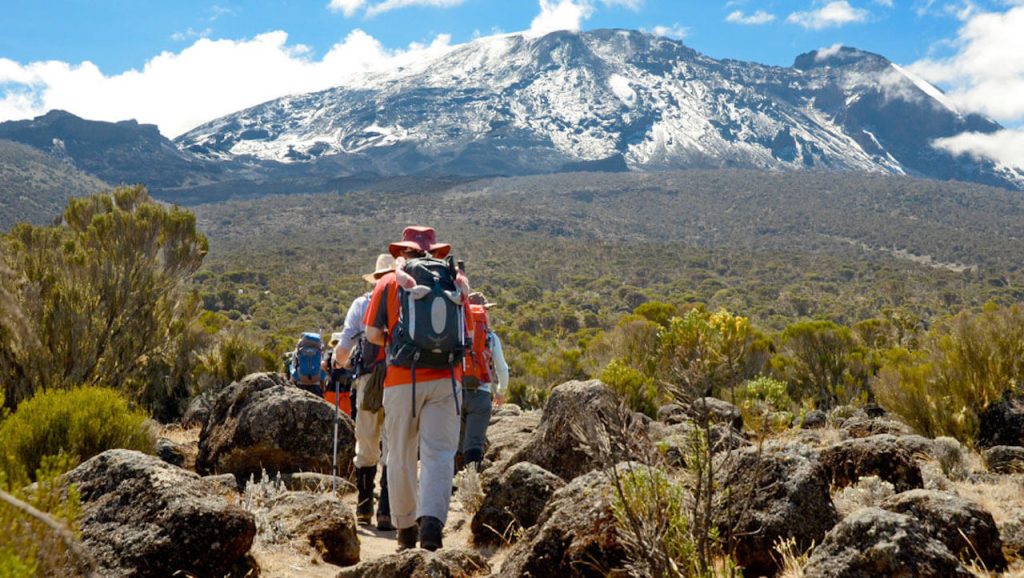 Kilimanjaro