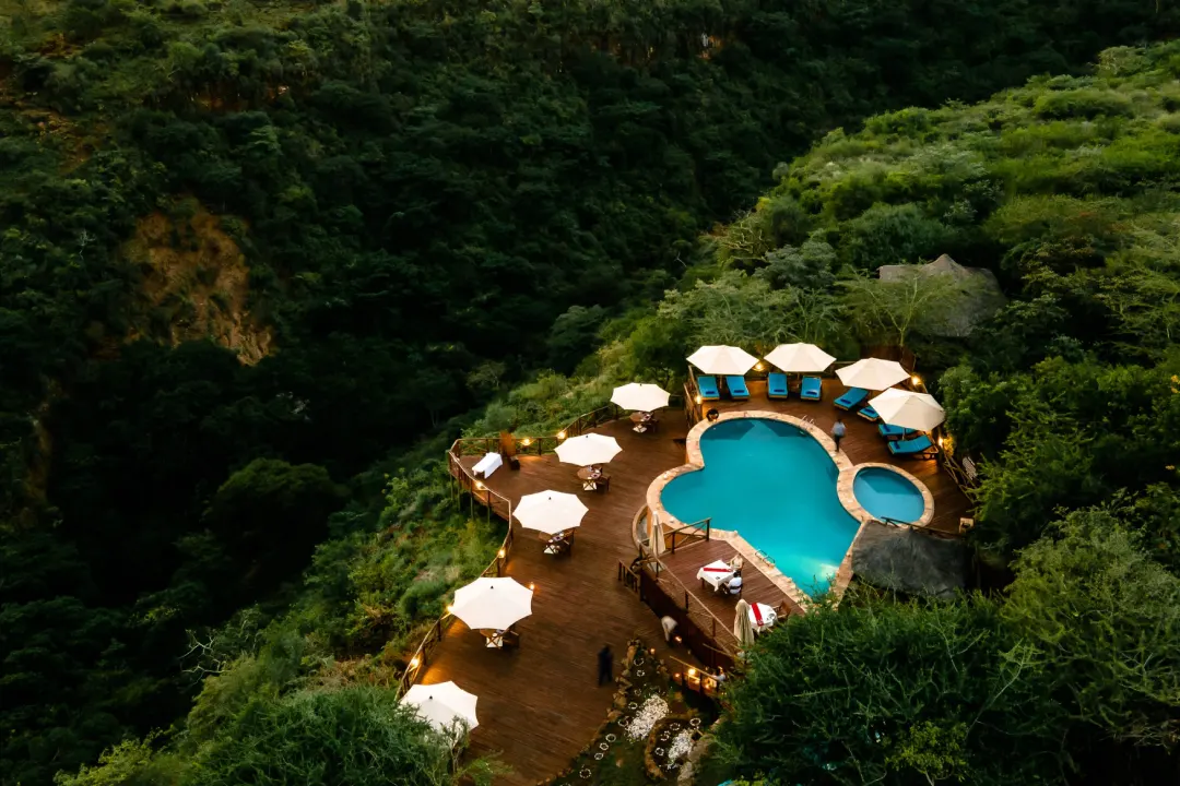 Tanzania Luxury Safari