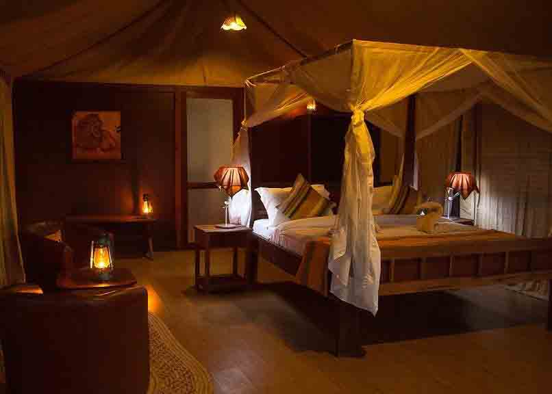 Luxury Safari Hotels, Lodges &Amp; Camps 12 Tarangire-Simba-Lodge