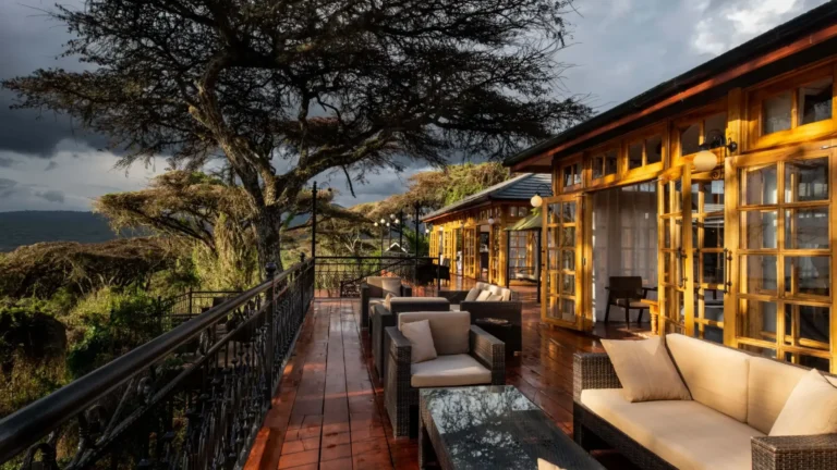Luxury Safari In Tanzania