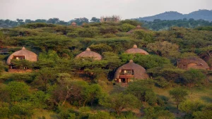 luxury african safaris