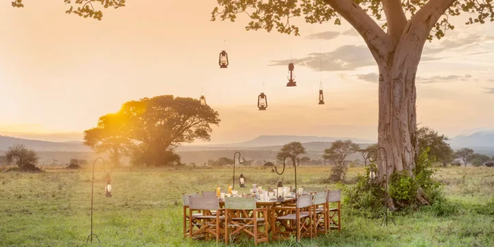 Serengeti Melia Serengeti And Zanzibar Safari, Table Set Up In A Grassy Field