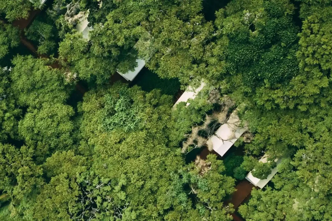Ngorongoro Hotels And Lodge
