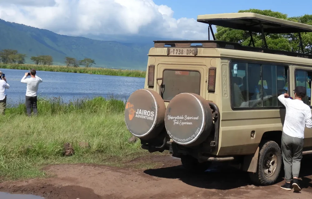 Affordable Safari Packages