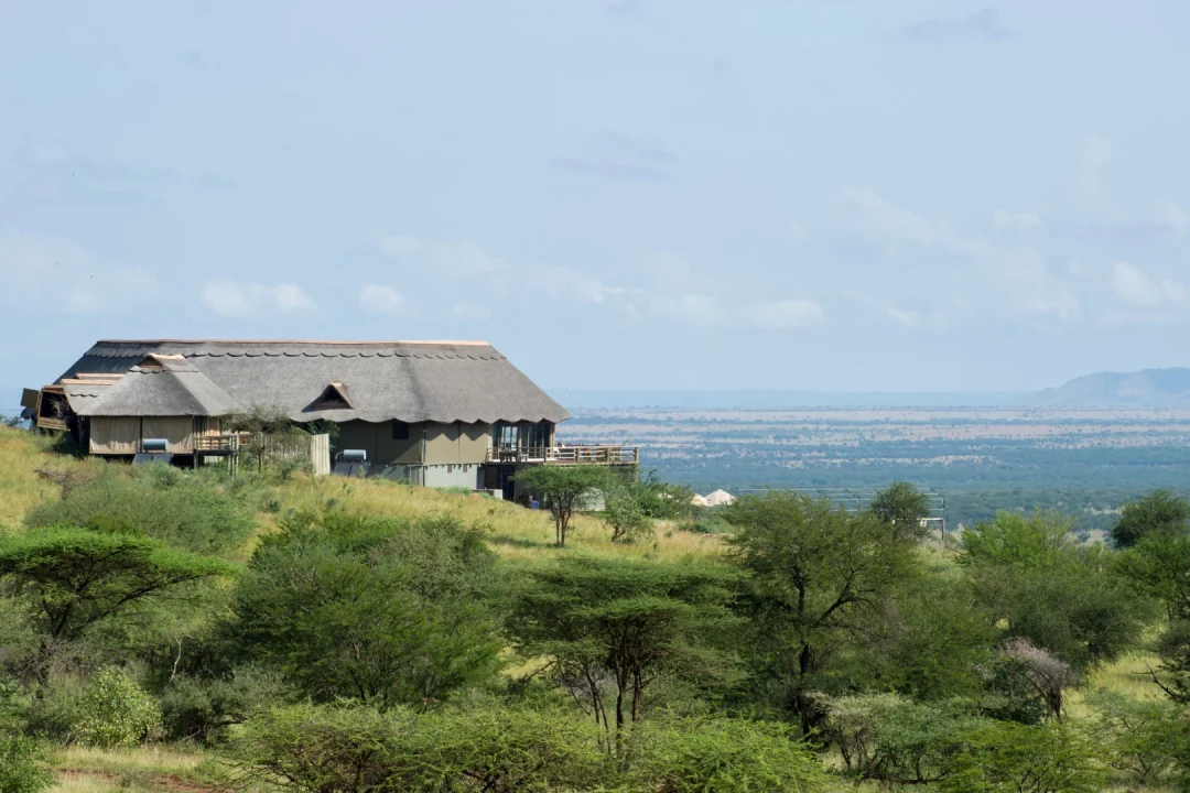 Kubukubu