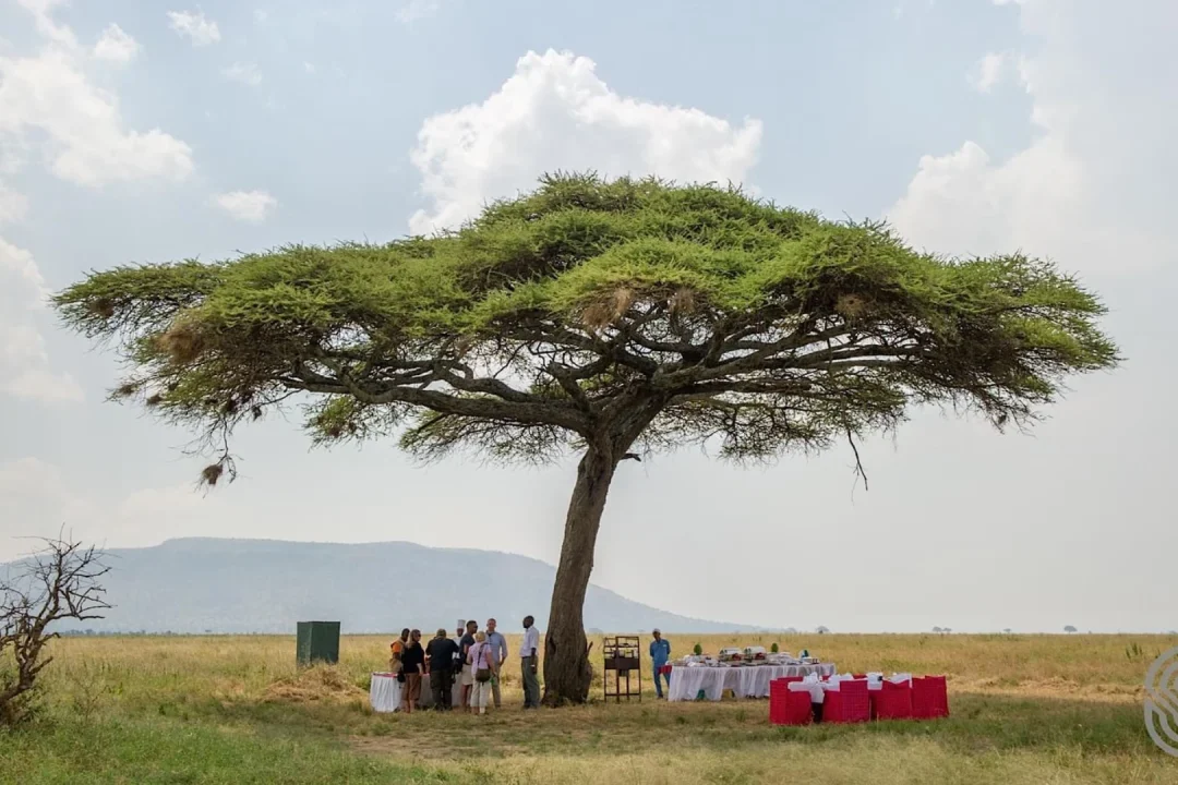 Tarangire Hotels And Lodges: Serengeti Serena Lodge